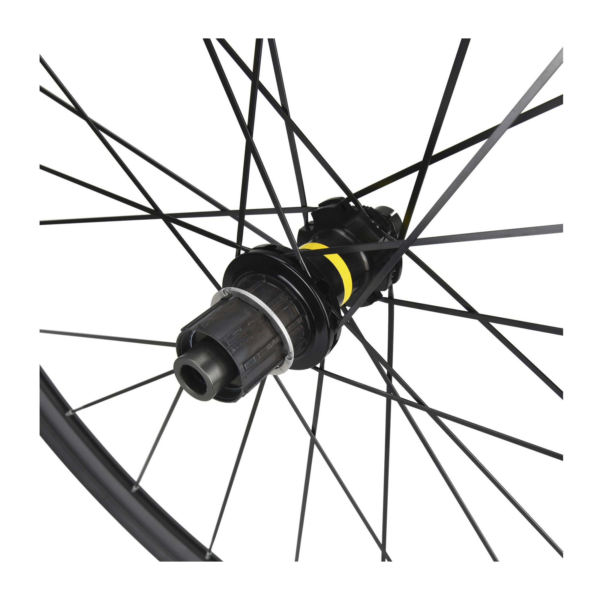 Aksium2 Bike Point Tenerife Bike Hire & Bike Rental