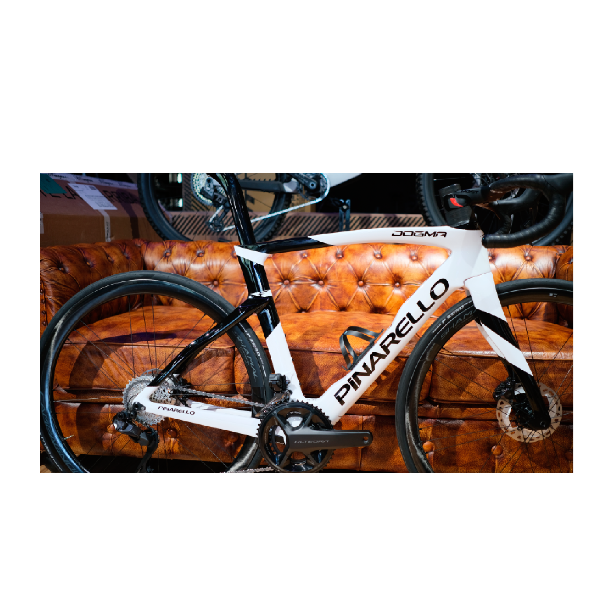 Pinarello Dogma F Tri Ciciclos Canarias Tienda de bicicletas Santa cruz de Tenerife