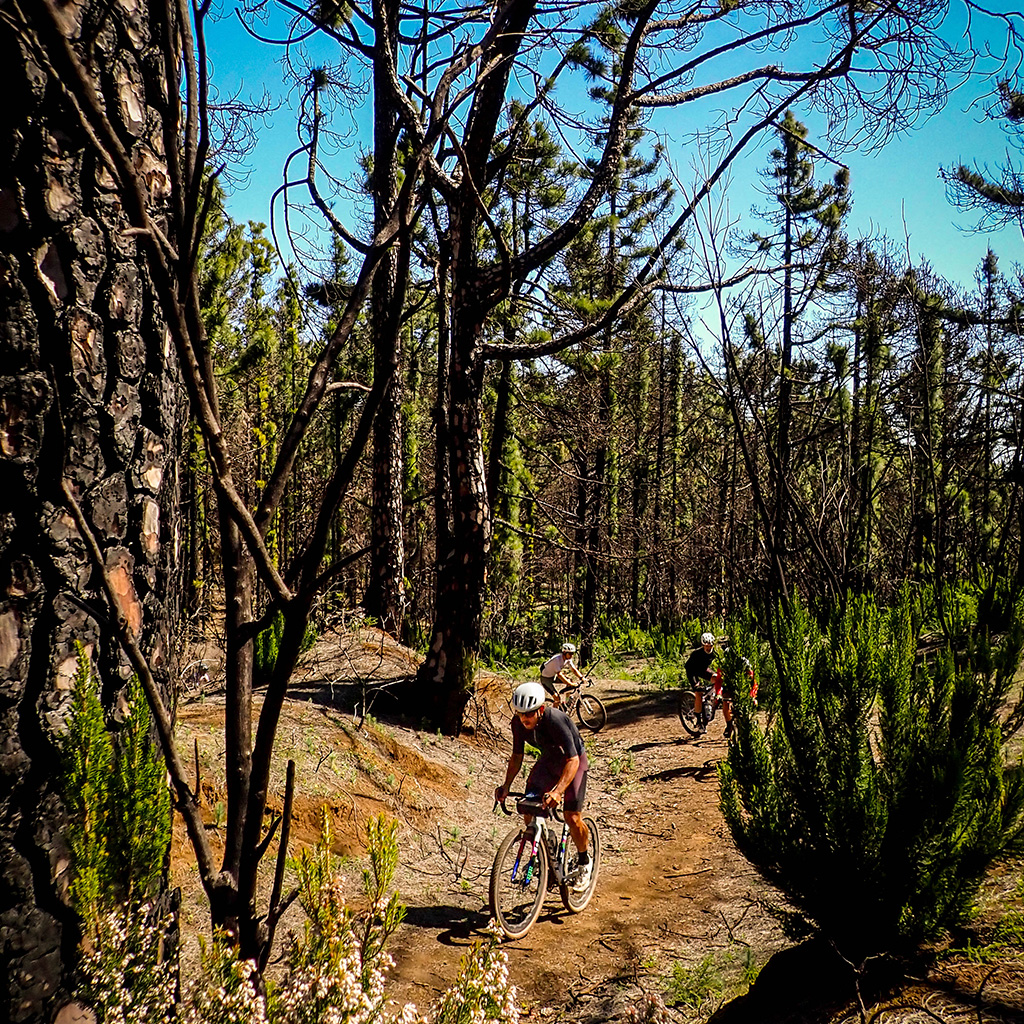 Q36 Dia 2 Tri Ciciclos Canarias Tienda de bicicletas Santa cruz de Tenerife