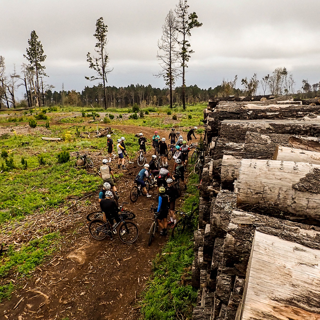 Q36 Dia 7 Tri Ciciclos Canarias Tienda de bicicletas Santa cruz de Tenerife