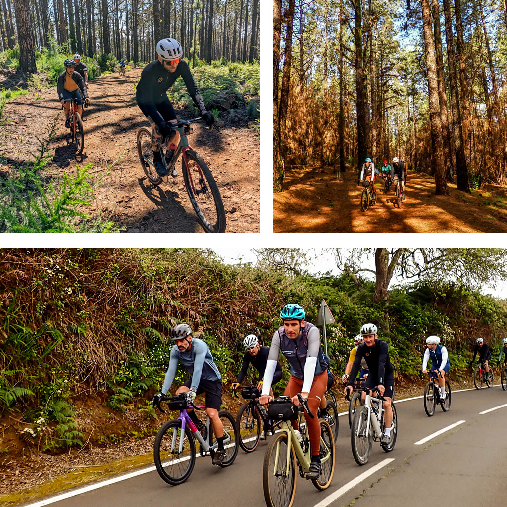 Q36 Dia 9 Tri Ciciclos Canarias Tienda de bicicletas Santa cruz de Tenerife